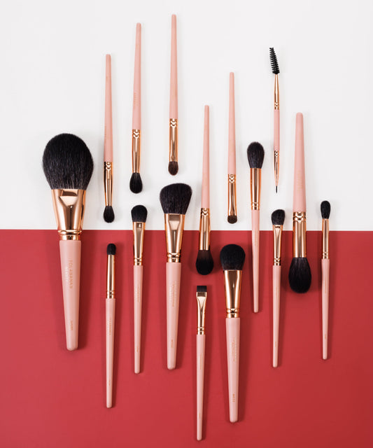 DELUXE PERFORMANCE MAKEUP BRUSHES (FULL SET)